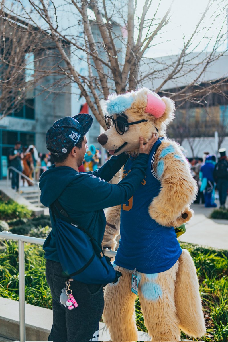 Sterling Fox tweet media