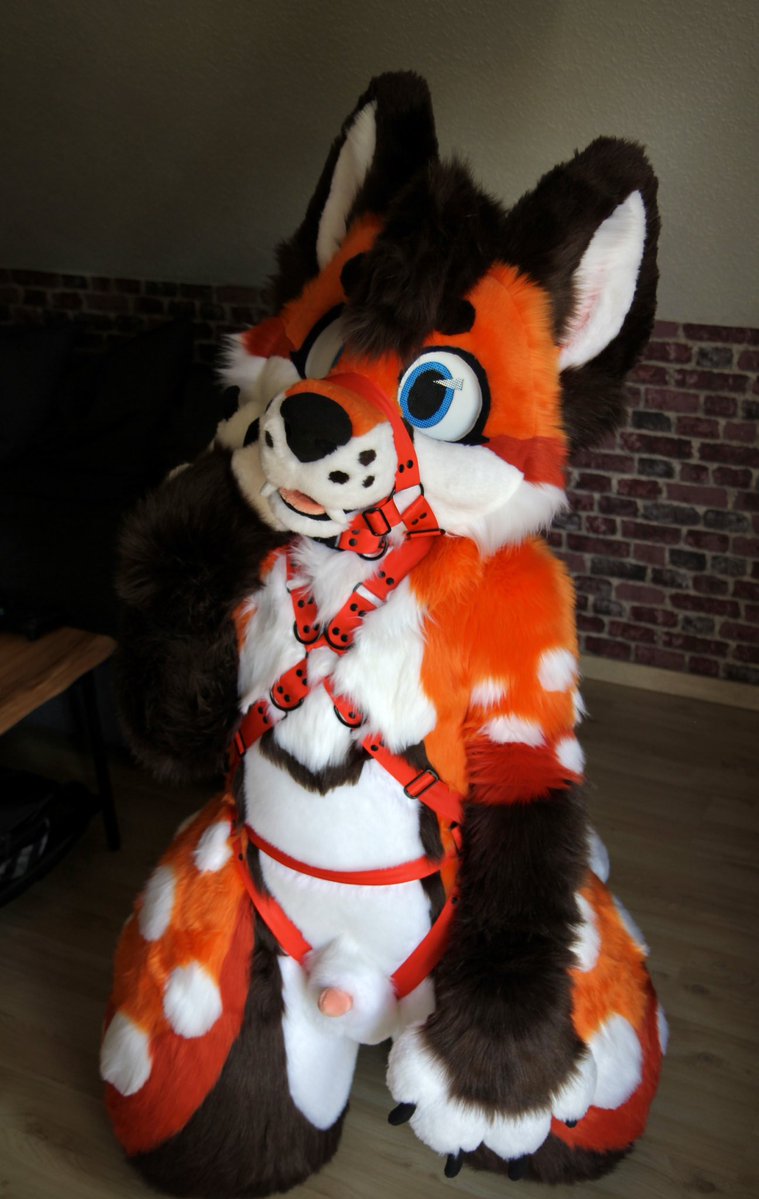 Murrlido tweet media