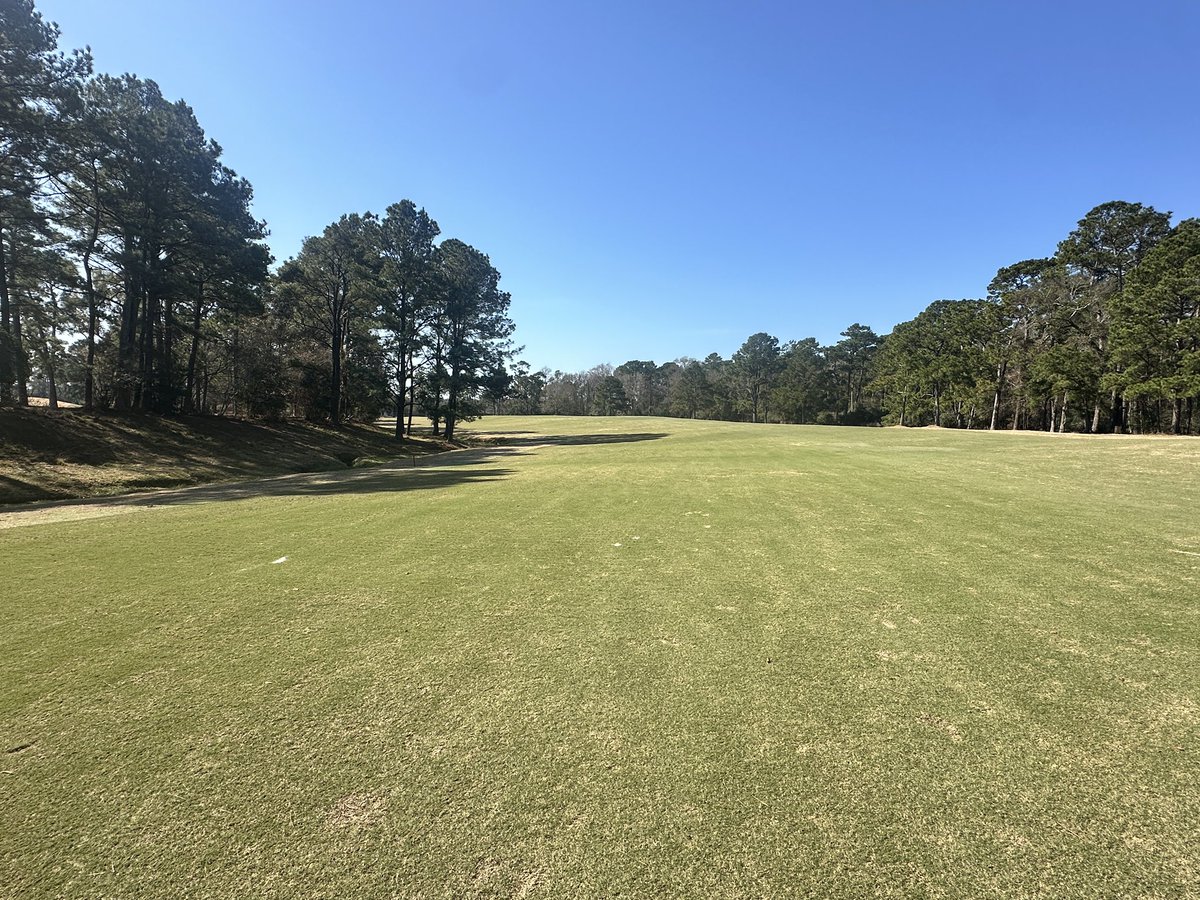Punchin' some nice small solid tines fwys.. mmm smells good! During punch and after punch pics, can barely even tell... 👍