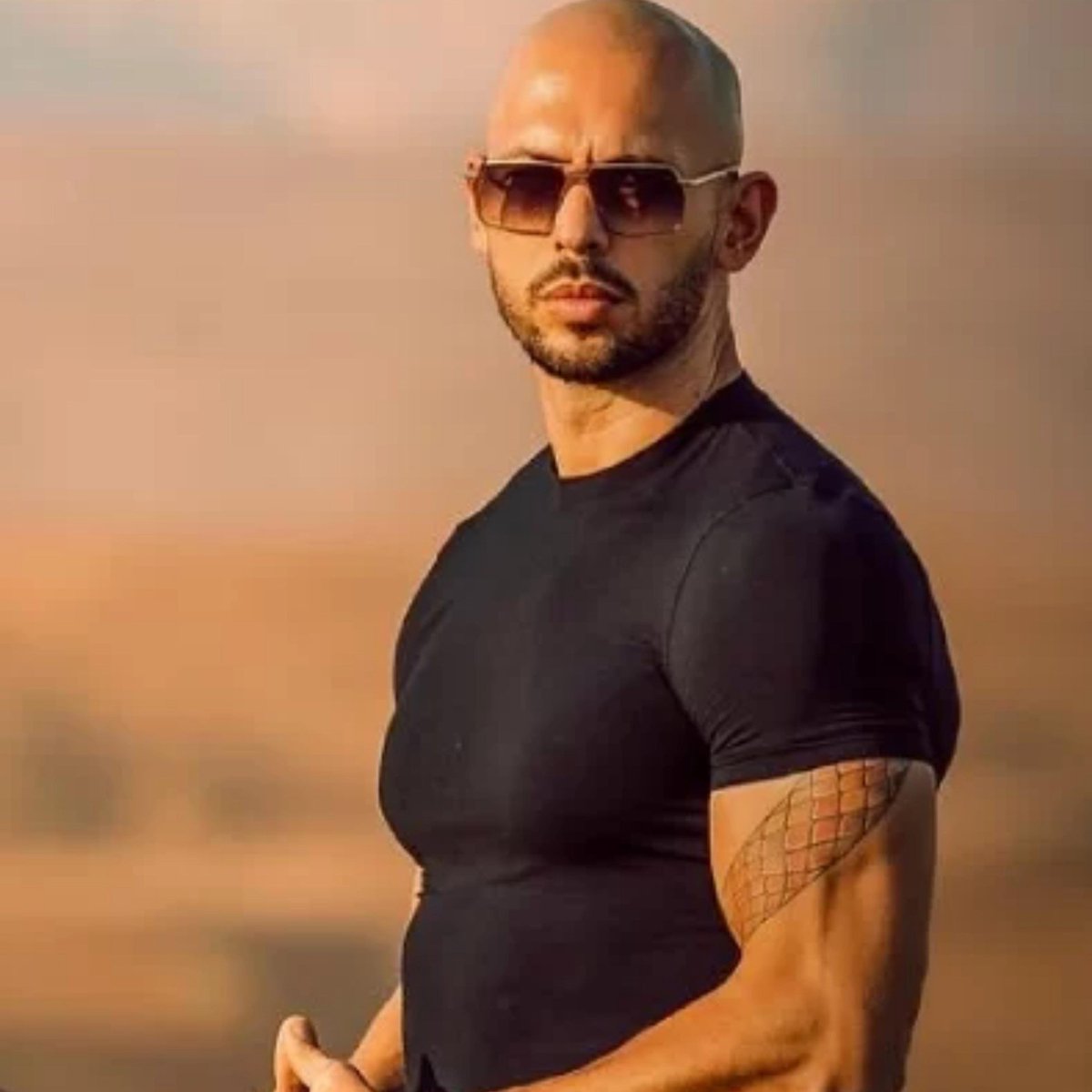 karenziaei1's tweet image. همینجوری 

دیگه واقعا بایی✌🏽

#KingRezaPahlavi 
#IranMassacre