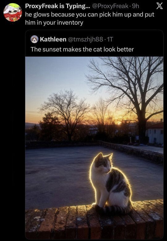 TweetsOfCats's tweet photo. https://t.co/cpLZHCKlqS