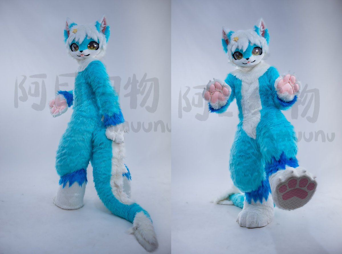 Kitten dragon

🐾🐱🐱🐱🐾
#fursuitmake #furry #fursuit