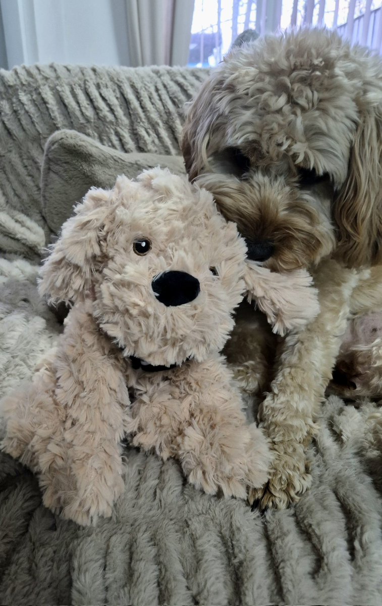 Michelle Cotter tweet media