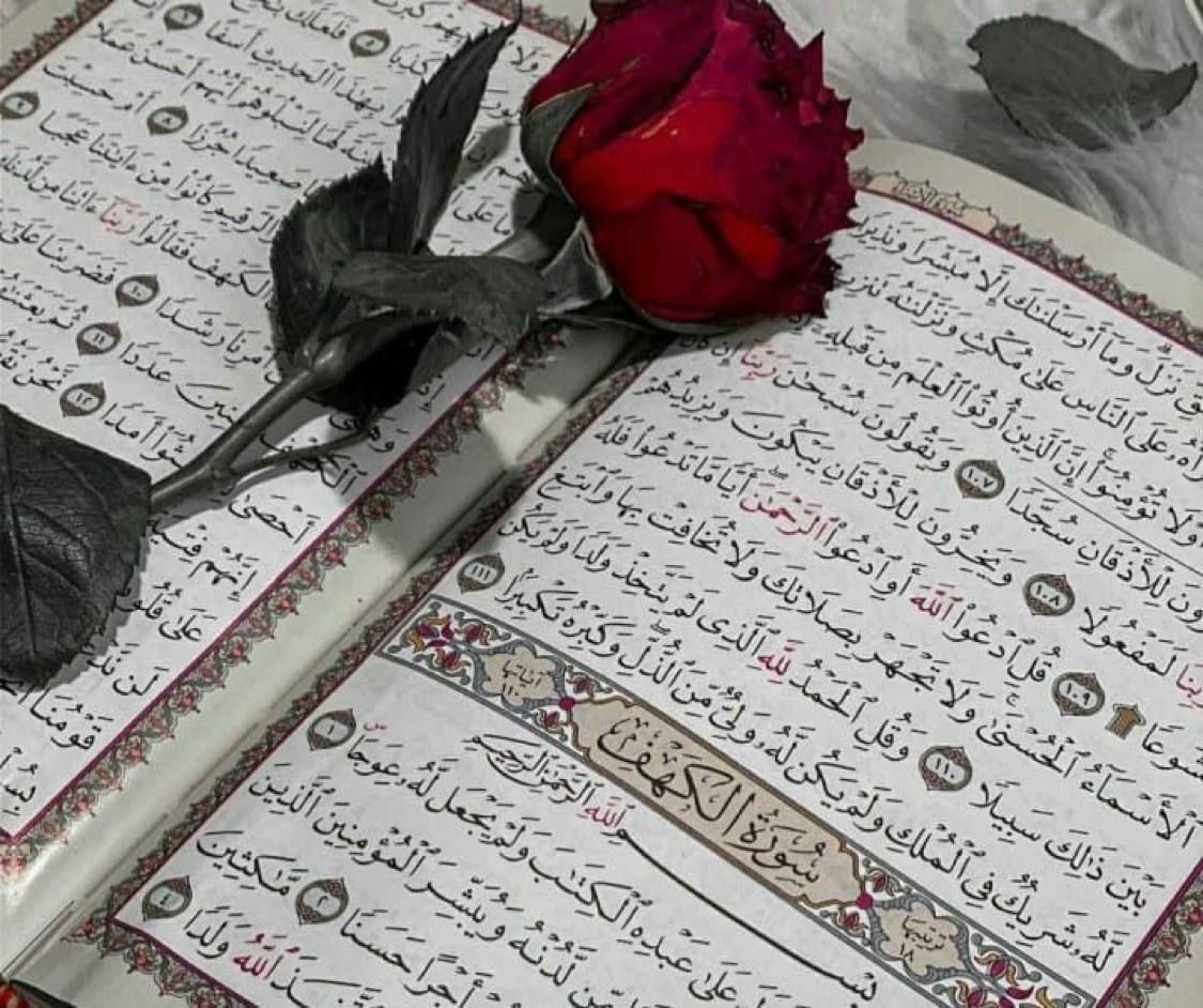 ٰ
                 في ليلة الجمعة.....
      اللهم إنا نسألك أن تجعلها جُمعة....
 سكون وسكينة وراحة لقلوبنا وطمأنينة....
    لبُيوتنا ورحمةً ومغفرة لِمن كان بيْننا...
             ثُمّ رحل عنّا يا رب💜