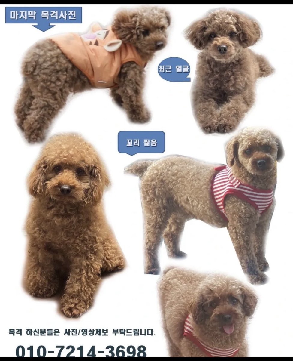 폭닥봉이☁️ tweet media