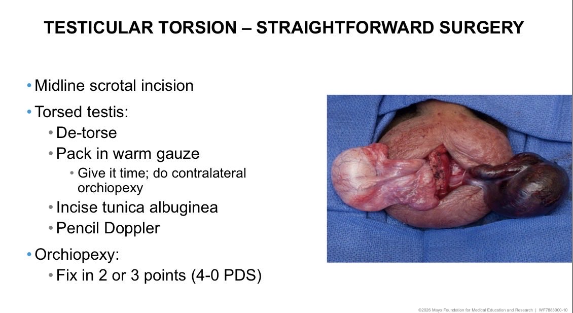Ricardo Soares tweet media