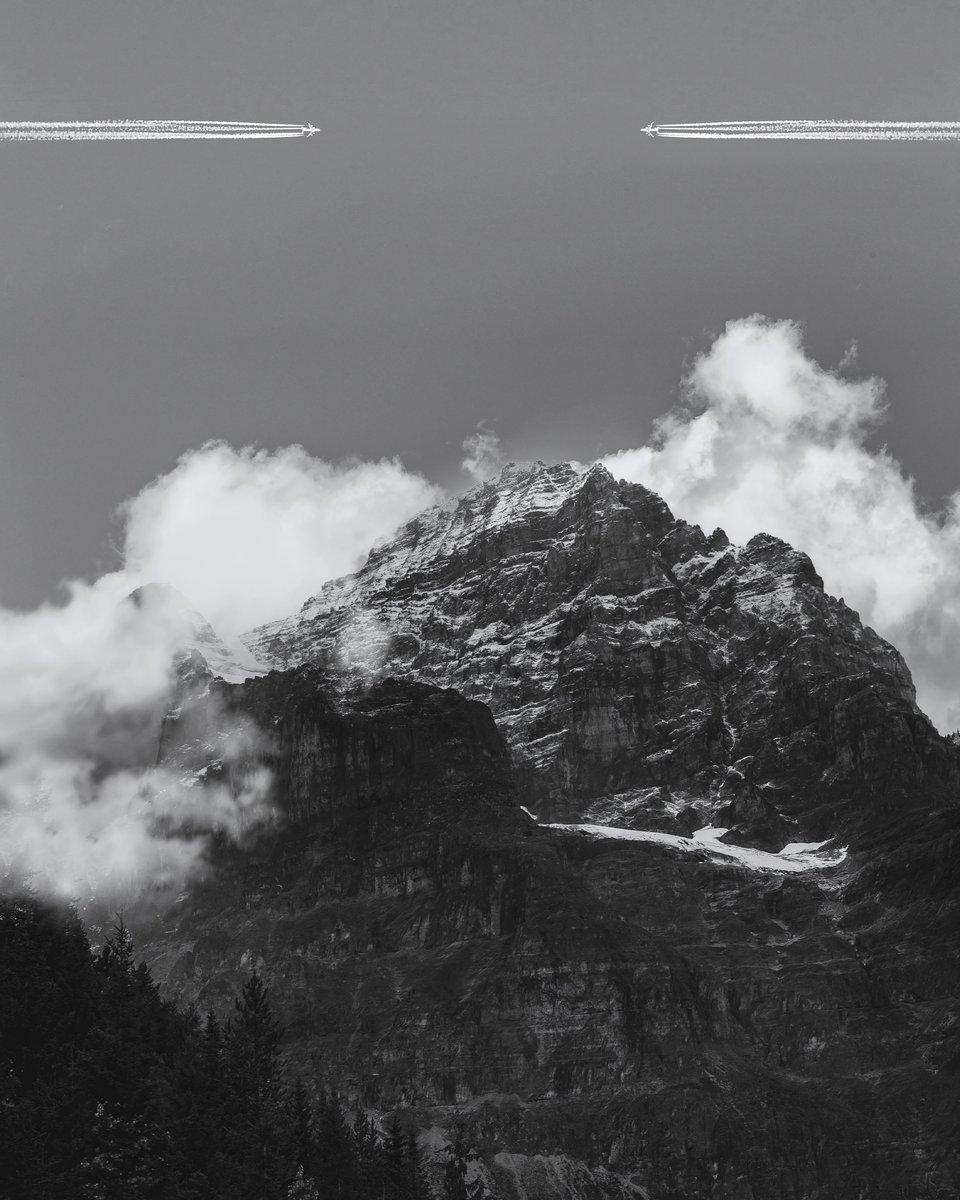 Bit Errror tweet media