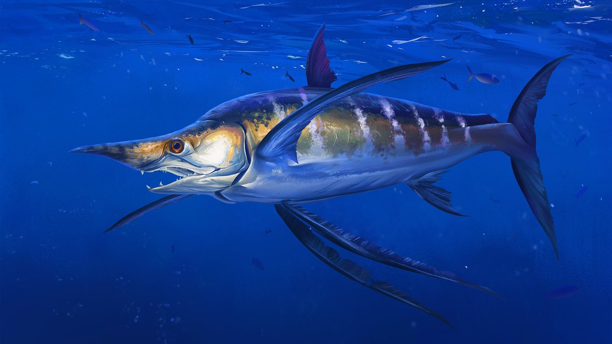 Crapo_Boy tweet media