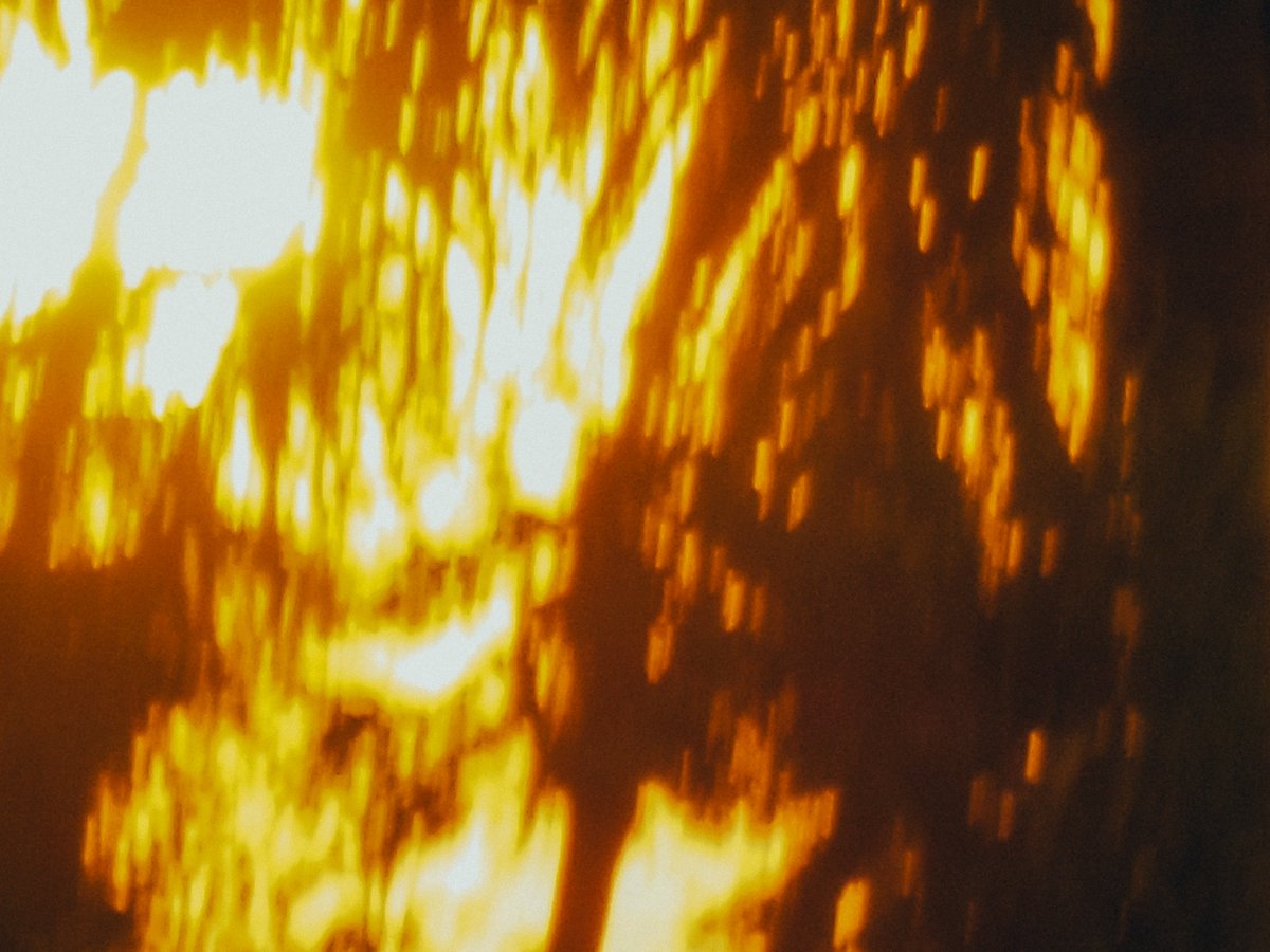still, its a great deal how light makes the ordinary feel beautiful