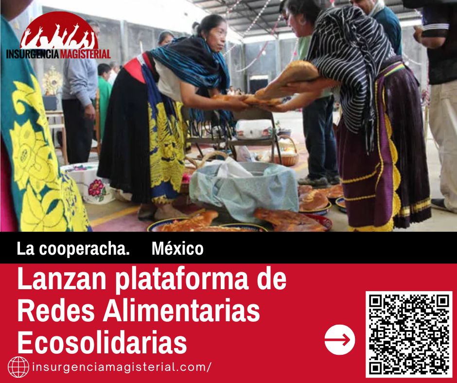 “es importante que la sociedad reconozca la capacidad y responsabilidad de organizarse para atender este problema, sobre todo desde una lógica de economía solidaria, por que la alimentación es un asunto de vida o muerte”.
insurgenciamagisterial.com/lanzan-platafo…
