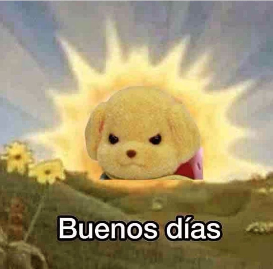 Buen día, hoy me desperté con ganas de comprar pelea ajena