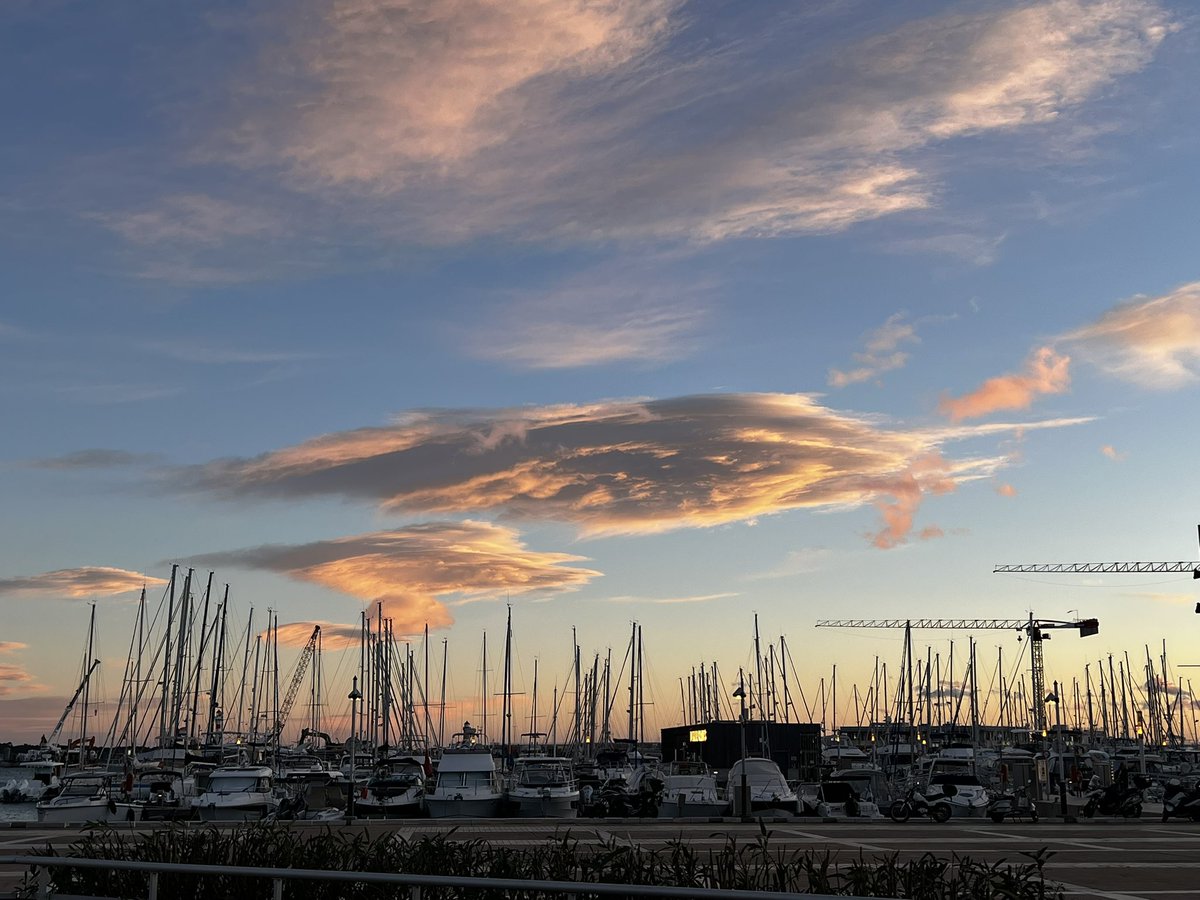 Yannick Ferrand 🍀 tweet media