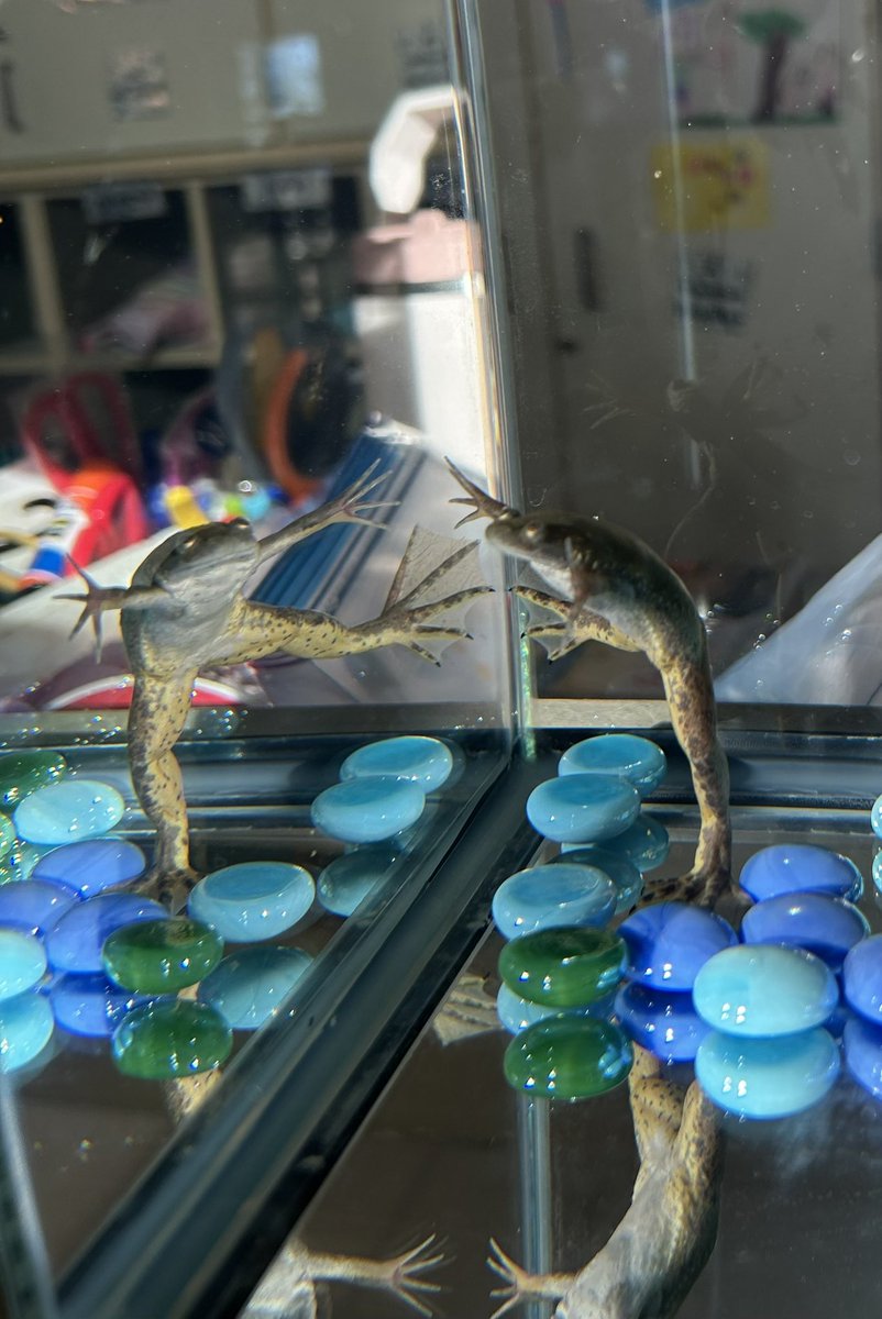 Roots Woodruff tweet media