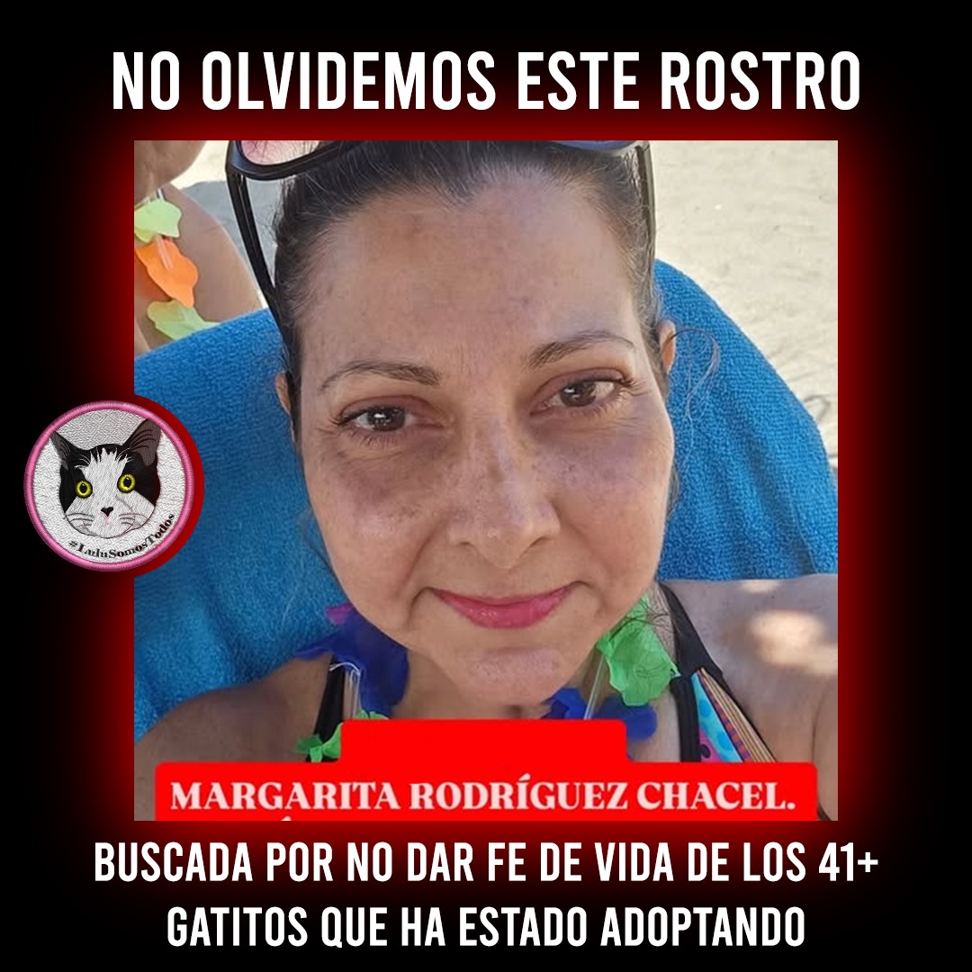 #12Feb. Está denunciada. Dicen haberla visto en la estación Chacaito del Metro de Caracas llevando otra posible víctima. ALERTA estaciones y zonas donde habitan manadas de gatitos. Son 41 +. Paremos esto, #Caracas! #DenunciaPublica y #AccionCiudadana. #LuluSomosTodos
