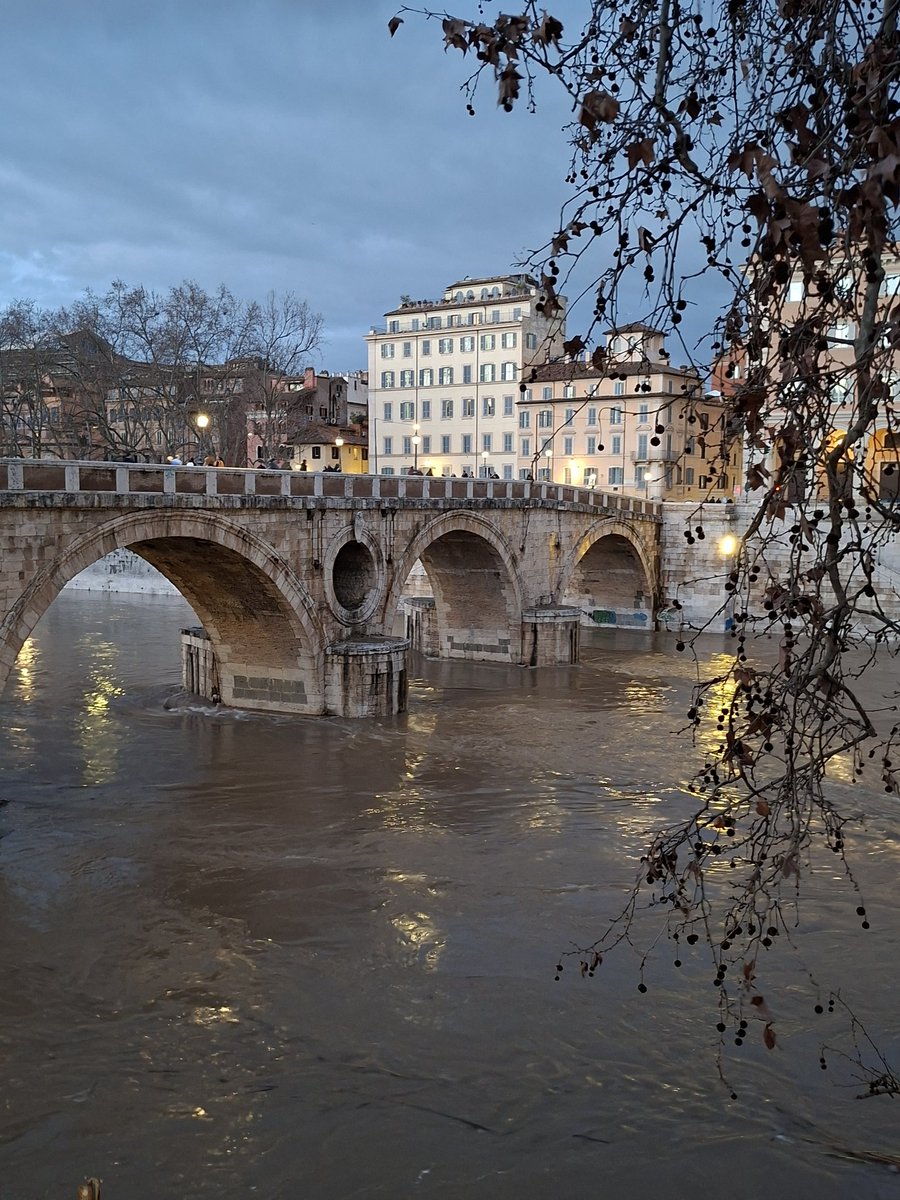 Verso <a href="/fssp_roma/">SS. Trinità dei Pellegrini</a> ... un #Tevere alto 💪