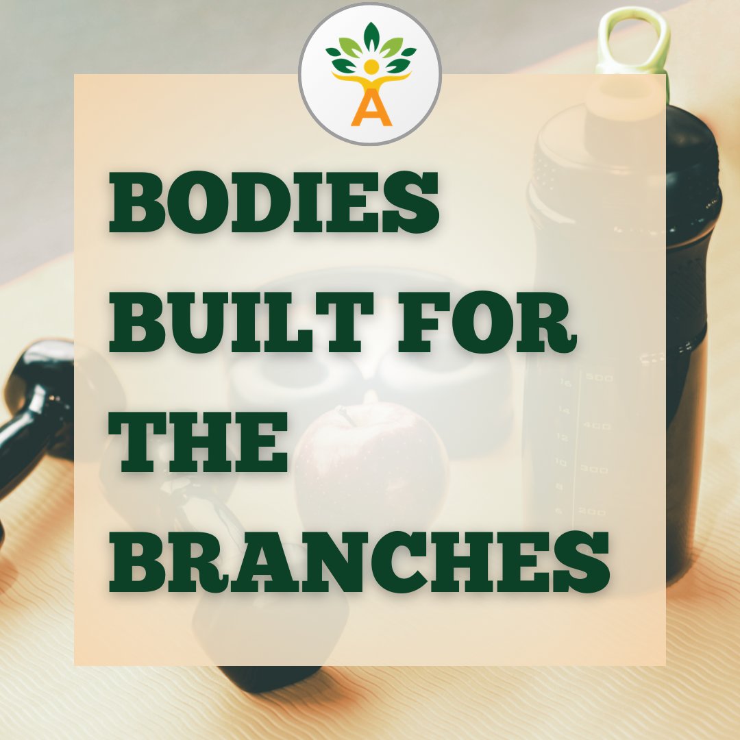 Long hours, heavy lifting, and unpredictable conditions make tree work punishing. Read how arborists can keep their bodies in top shape for the trees here: na2.hubs.ly/H03DKKq0

#safety #ppe #arbortimes #thoughtleadership #arboriculture #treecare #treecareindustry #arborist