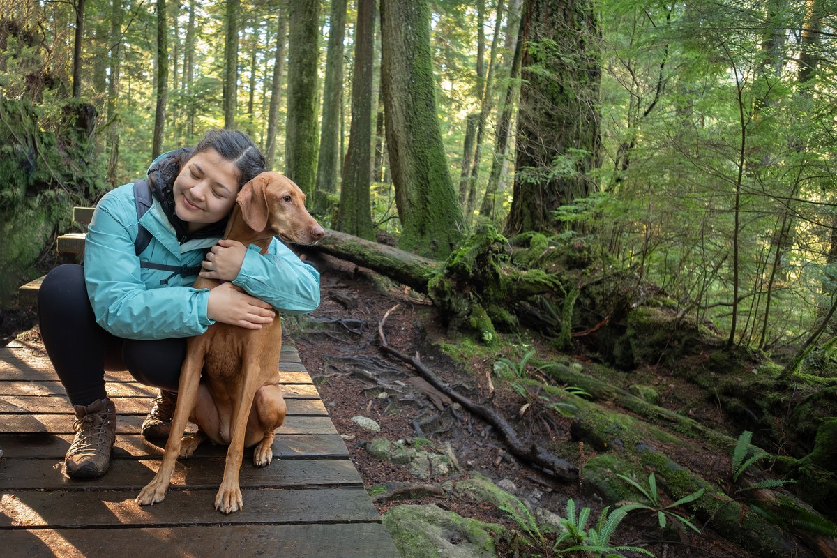 Blue Shield of CA tweet media