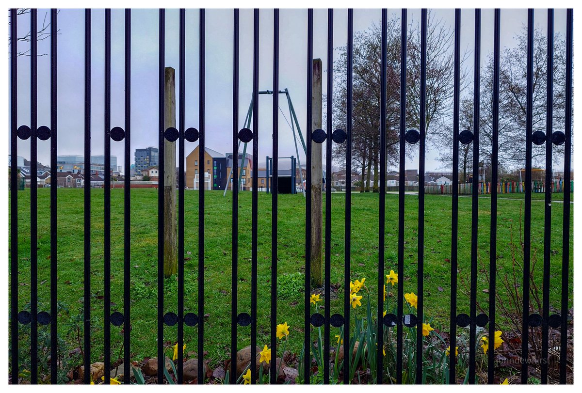 johndewhirst tweet media