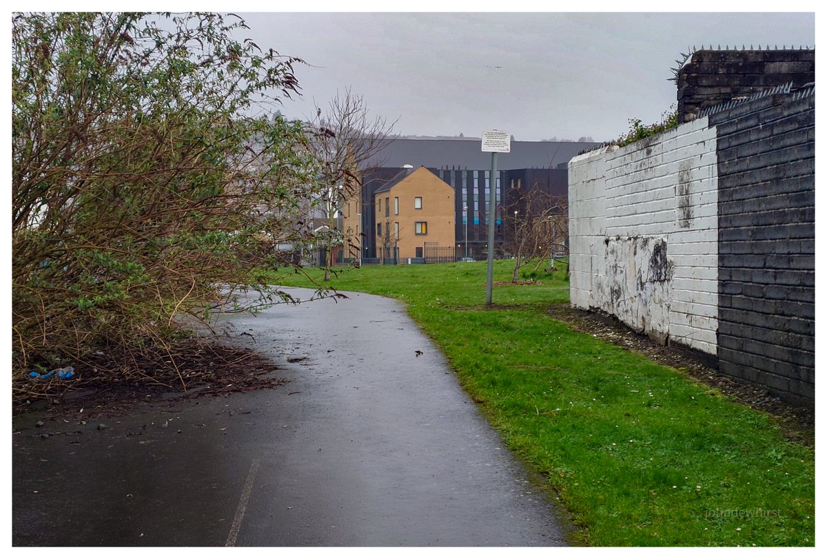 johndewhirst tweet media