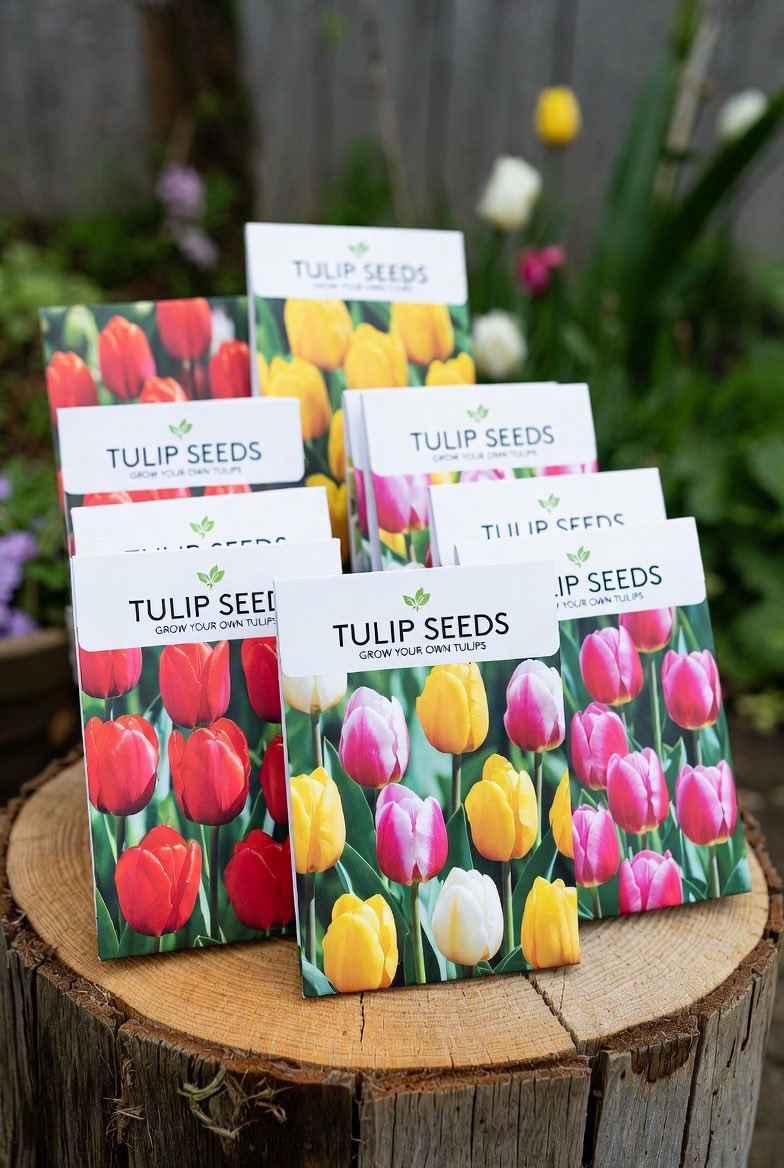 ImTruetoMe's tweet photo. Upland tip of the day: Maximize your UPX gains by flipping rare seeds at nurseries like I am in Saint Denis, FR. Buy low, plant smart, sell high—recent flips netted 500-1900 UPX each! Who’s scoring big? Share below. 🌱📈 #UpxGains #UplandMe #UplandTips #ExoticSeeds https://t.co/EE0c0zTWOo