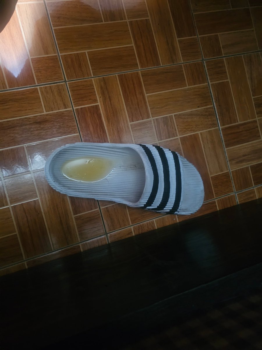 Ni modo, es hora de comenzar a miar al gato para afirmar dominancia 🫩