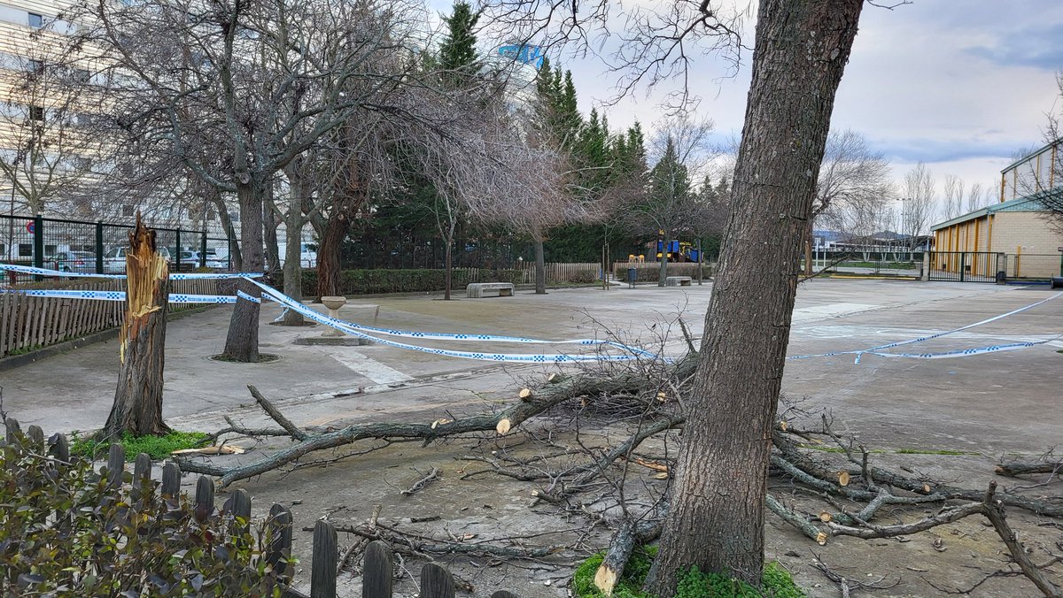 miguel_alonso97's tweet image. Esto me encuentro en las inmediaciones del hospital San Pedro de #Logroño, en el patio del colegio San Pío X. Afortunadamente, trata de una de las incidencias ocurridas en la madrugada, sin lamentar heridos.

Se reportó racha de 109 km/h., debido a la #BorrascaNils
