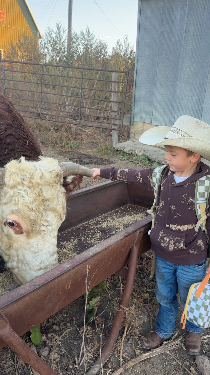 Courtney Koinzan tweet media