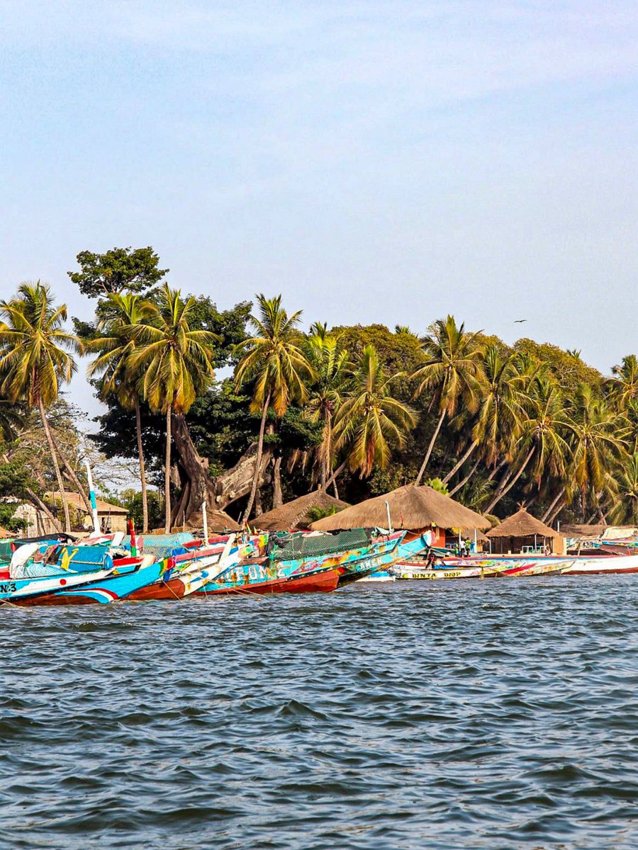 Globe Tucker tweet media