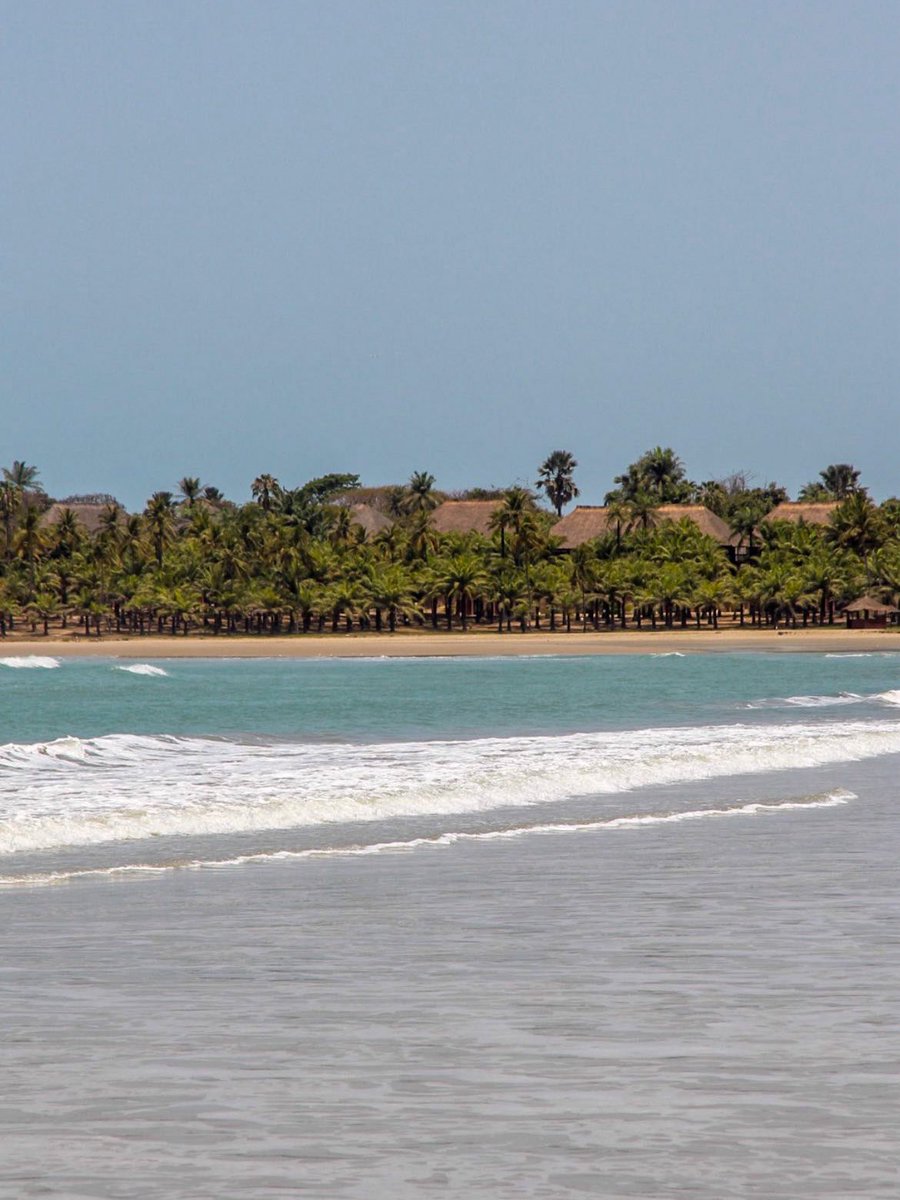 Globe Tucker tweet media