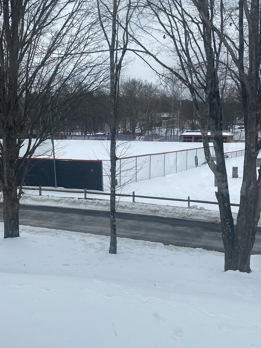 Jamie Shevchik tweet media