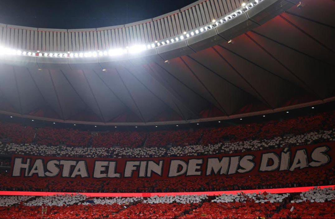 "Until the end of my days"

SIEMPRE ❤️🤍