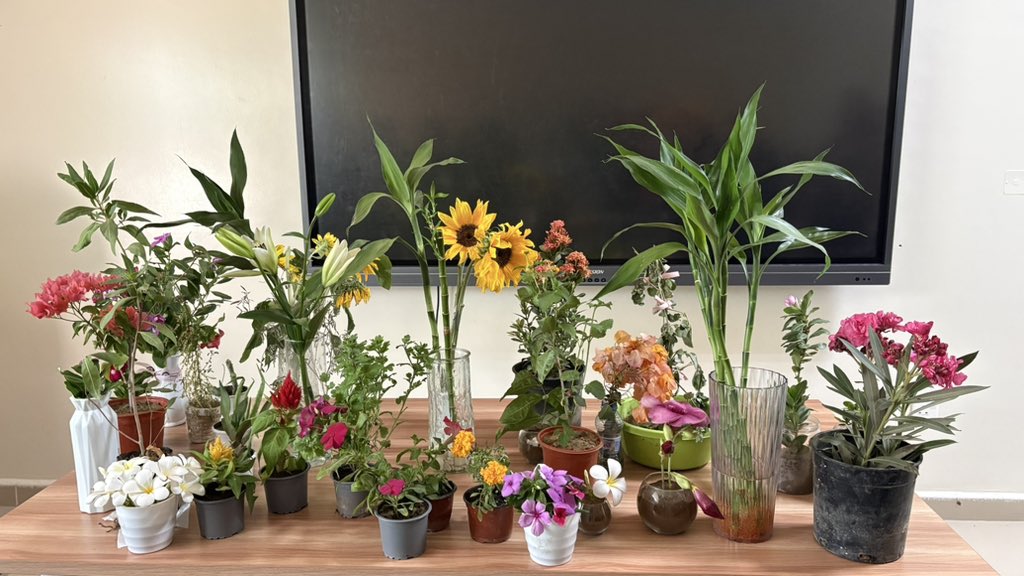 ✺ (@81i0jl) on Twitter photo 