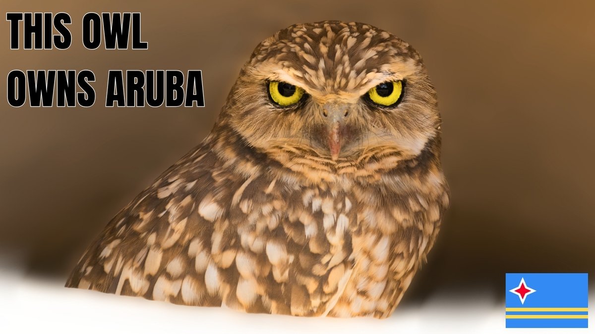 Tam & Lauren tweet media