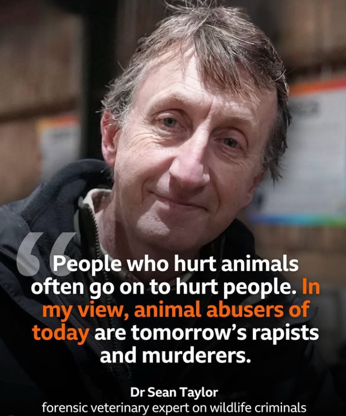 THIS IS EXACTLY WHY DOG HATERS TRY TO PROTECT THE ABUSERS!! 

#SaveIndianDogs