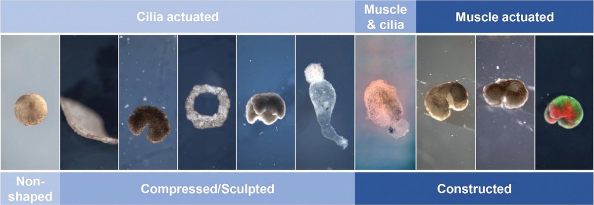 Yang Fan 范阳 tweet media