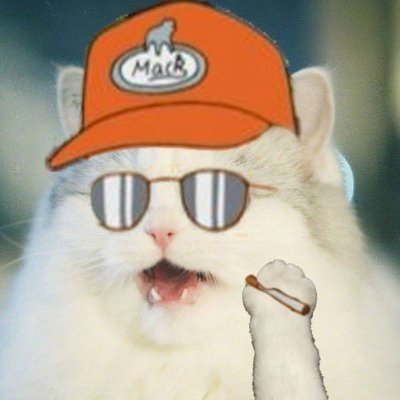 Seamonkey tweet media