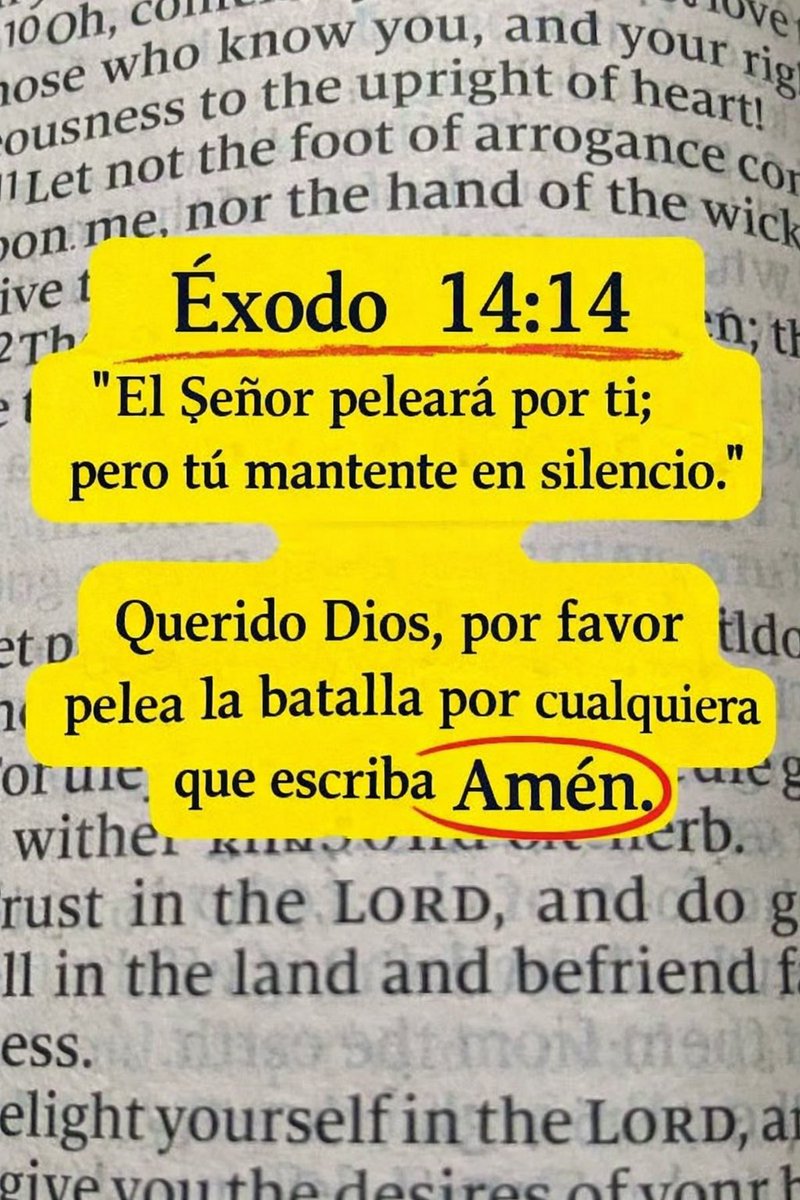 RosarySon tweet media