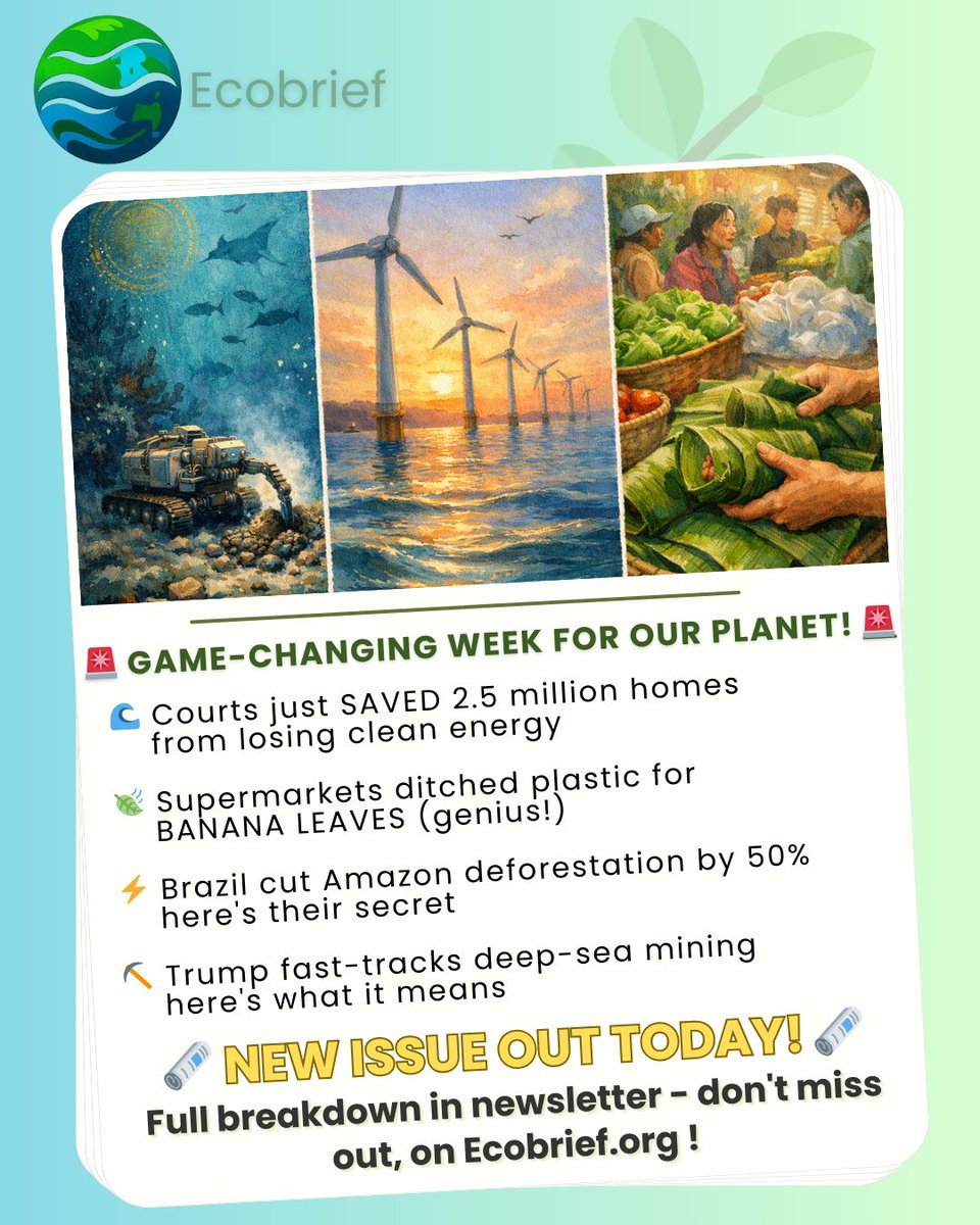 Ecobrief_'s tweet photo. 🔥 This week: Courts overturn wind energy freeze (2.5M homes saved), supermarkets swap plastic for banana leaves, + Brazil's Amazon deforestation drops 50%
My latest newsletter breaks down what these wins mean for climate action (and your role in it)
Read: https://t.co/6eXNPAp4Lq https://t.co/bbVVQY5RK8
