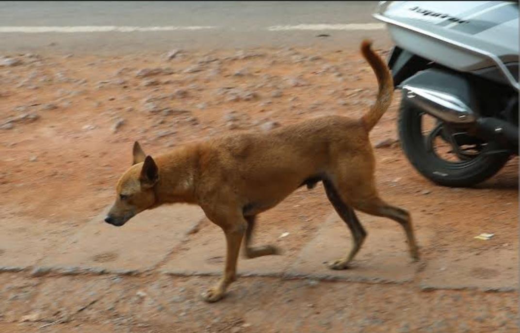 Unaware picture of your father