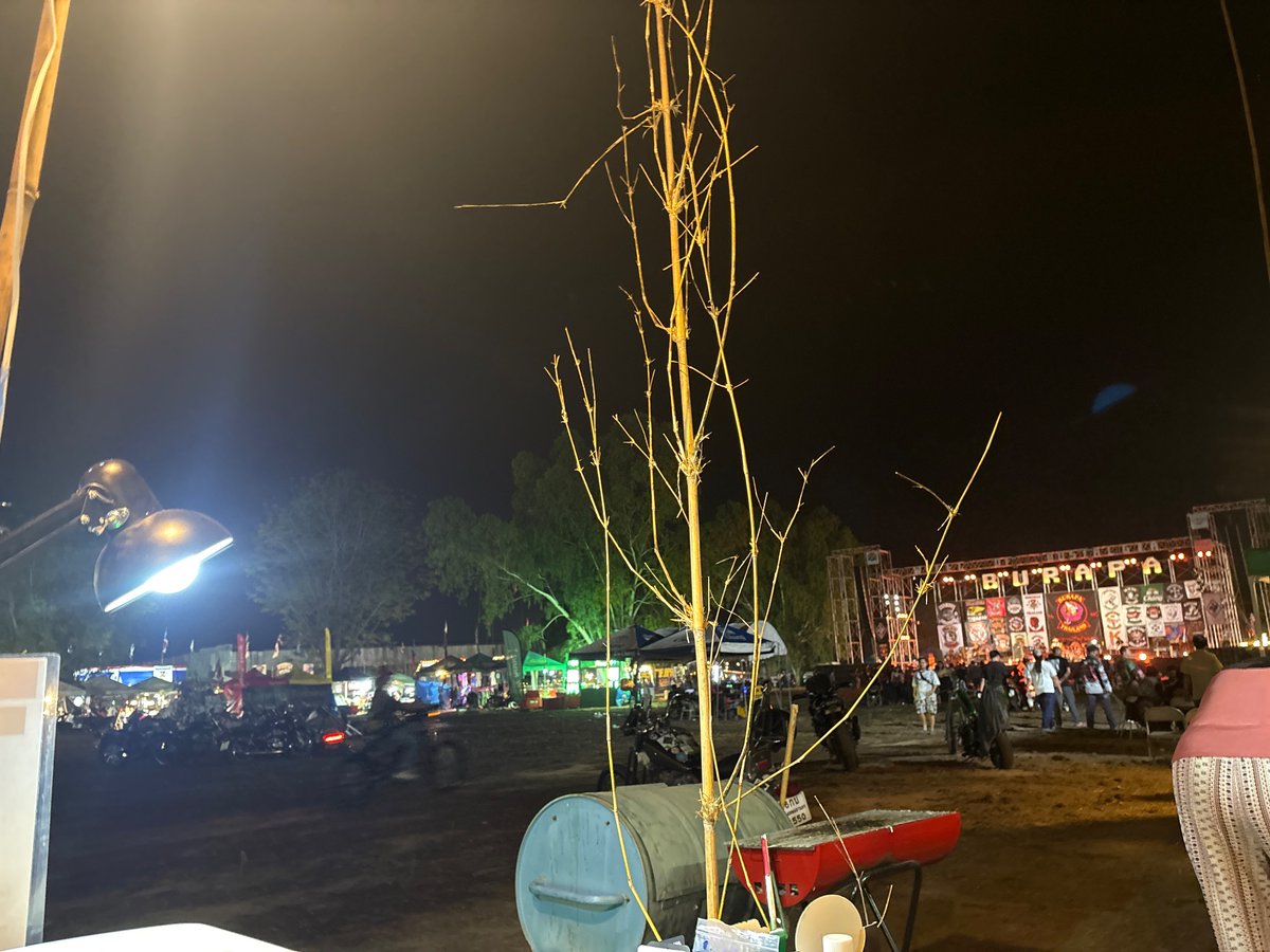 OG.Twenty tweet media