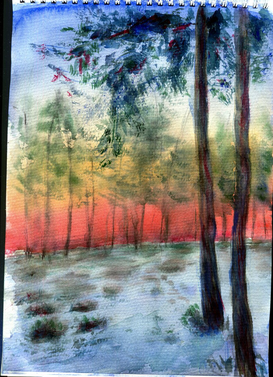 Невеличкий зимній скетч аквареллю))☃️

#украрт
#watercolorpainting
#watercolour
#水彩画
