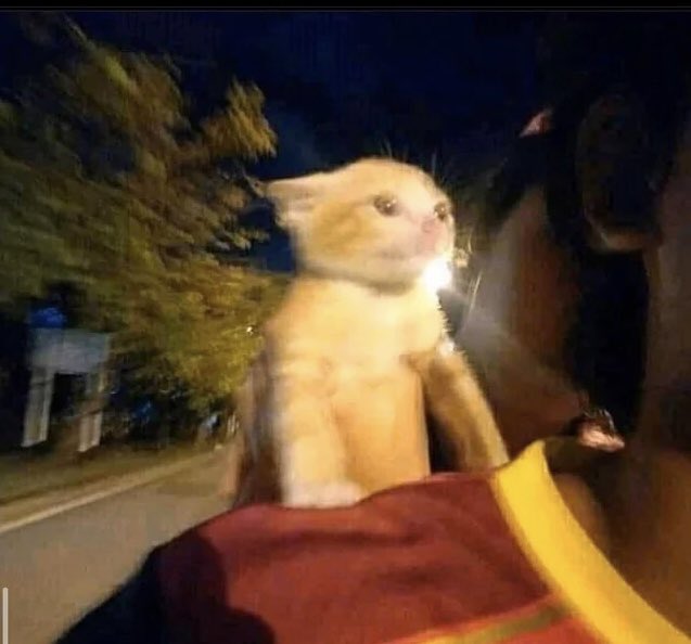 grootchibel's tweet image. บรึ้นไปเลยค้าบเพ่ !!!!!!