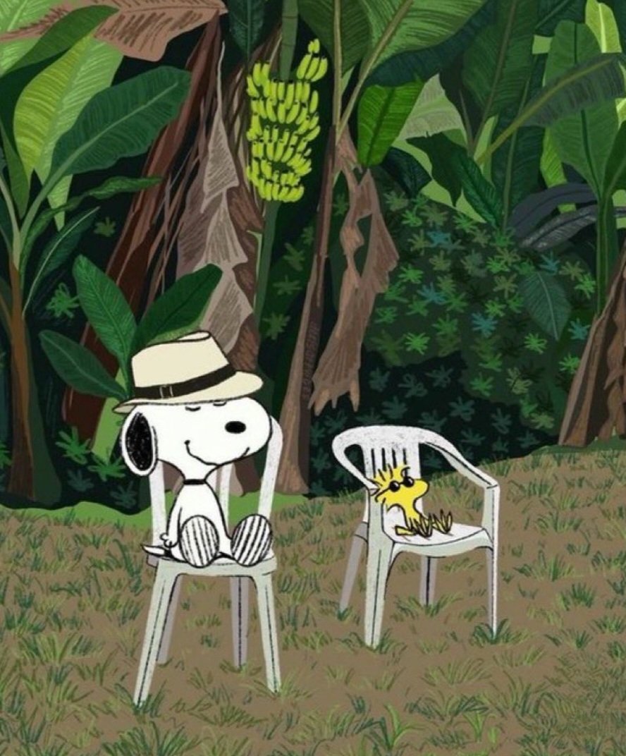 Snoopy (@snoopyphotos) on Twitter photo 