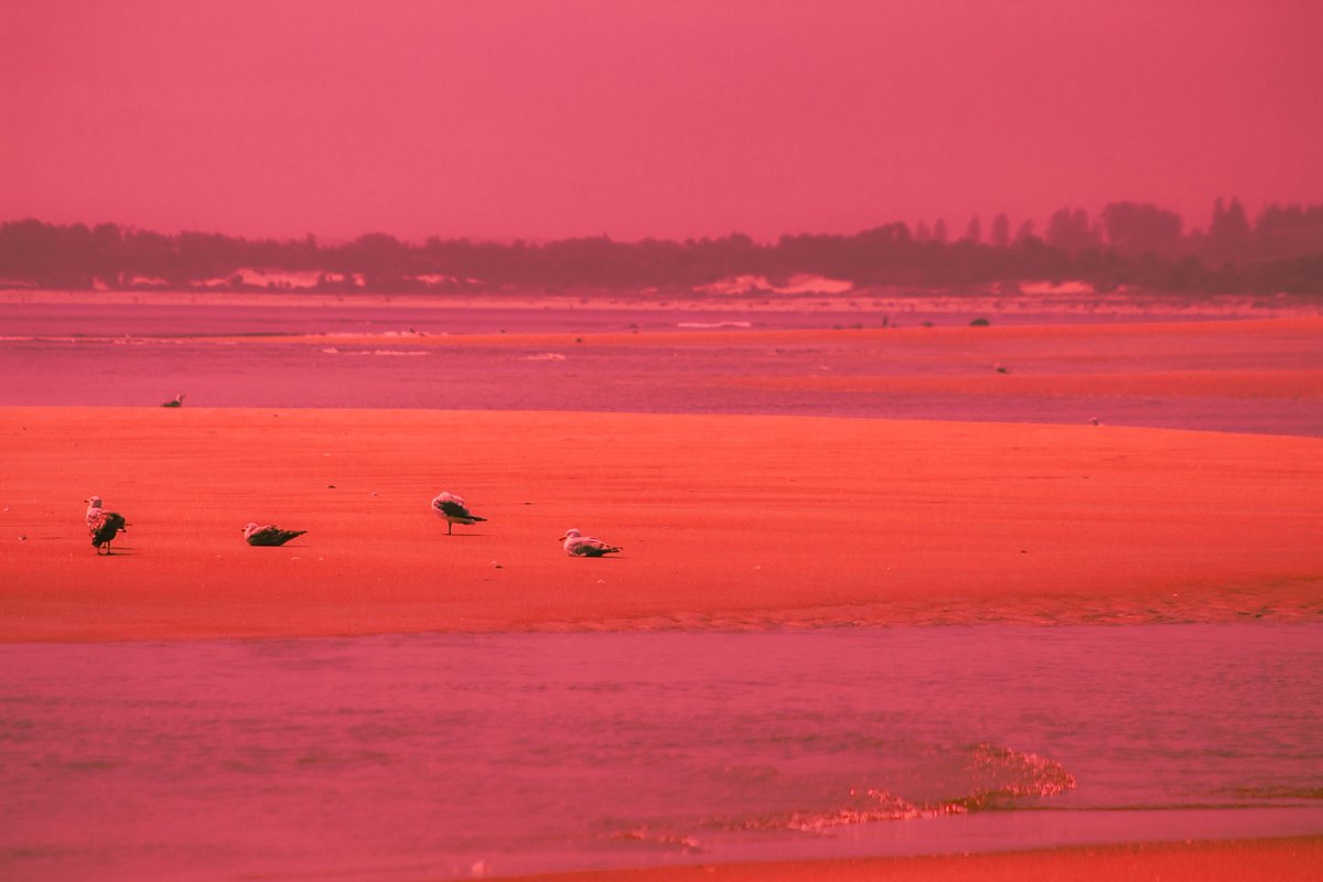 CrownDigitalz's tweet image. it was just a dream