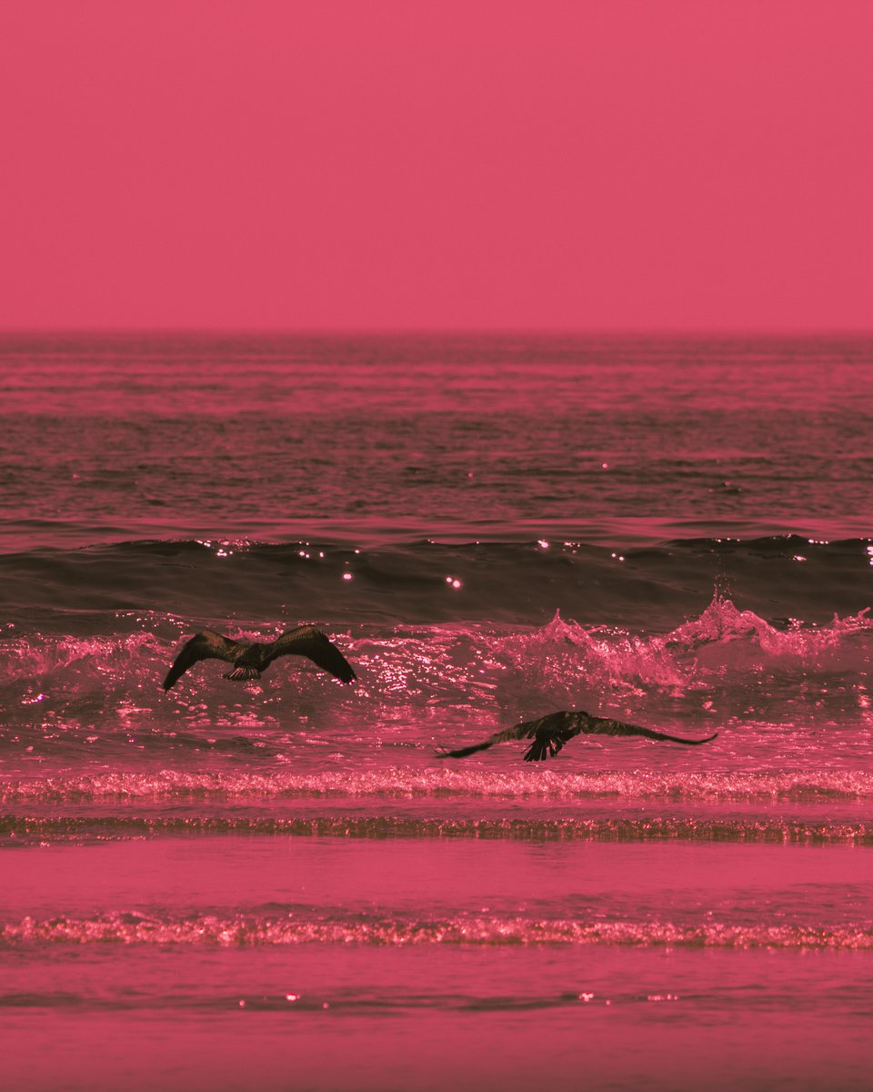 CrownDigitalz's tweet image. it was just a dream