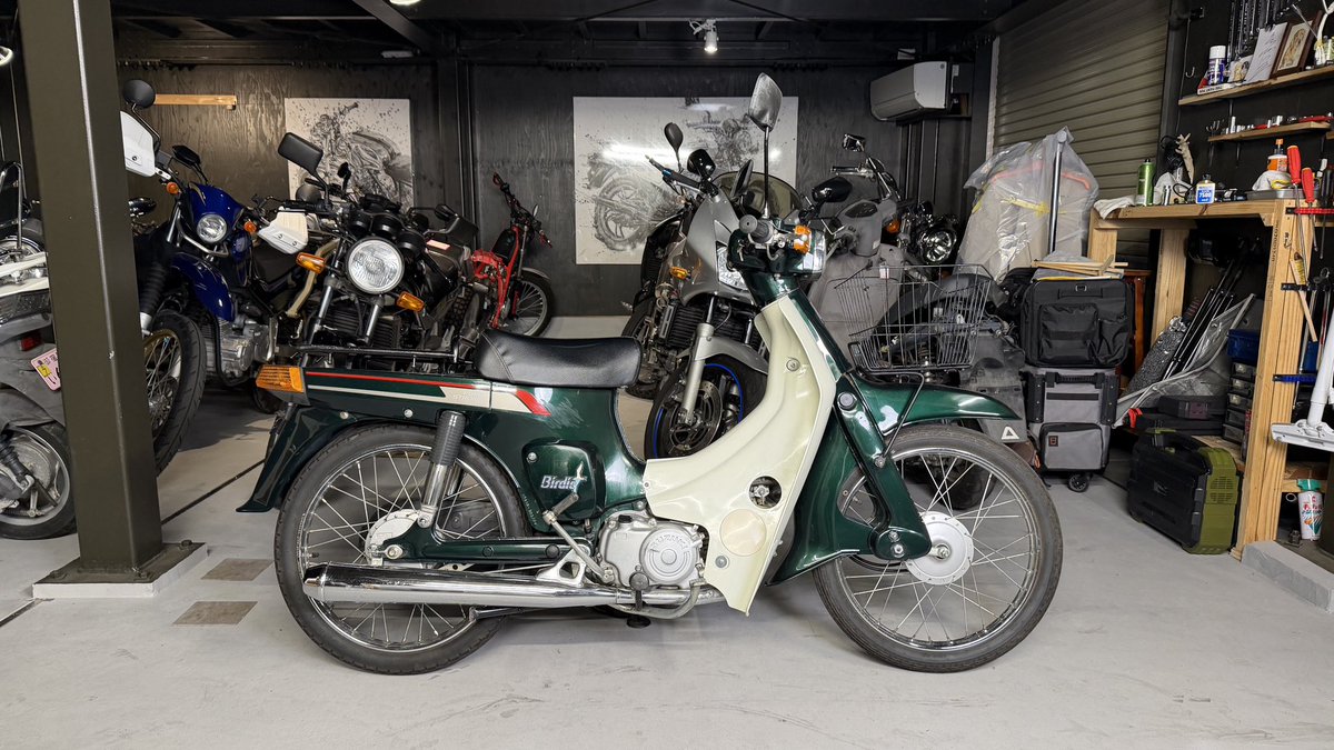 あっという間に売れちゃうんだろうなぁ…