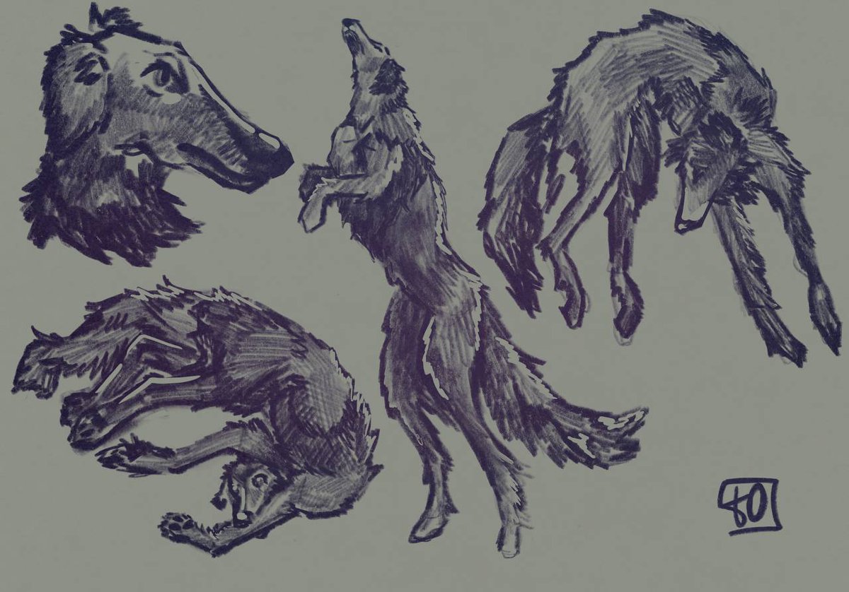 NonameTvins's tweet photo. Несу дурацких собак в массы
Люблю их жесть

#арт #art #sketch #dogs https://t.co/twgrT5wtUX