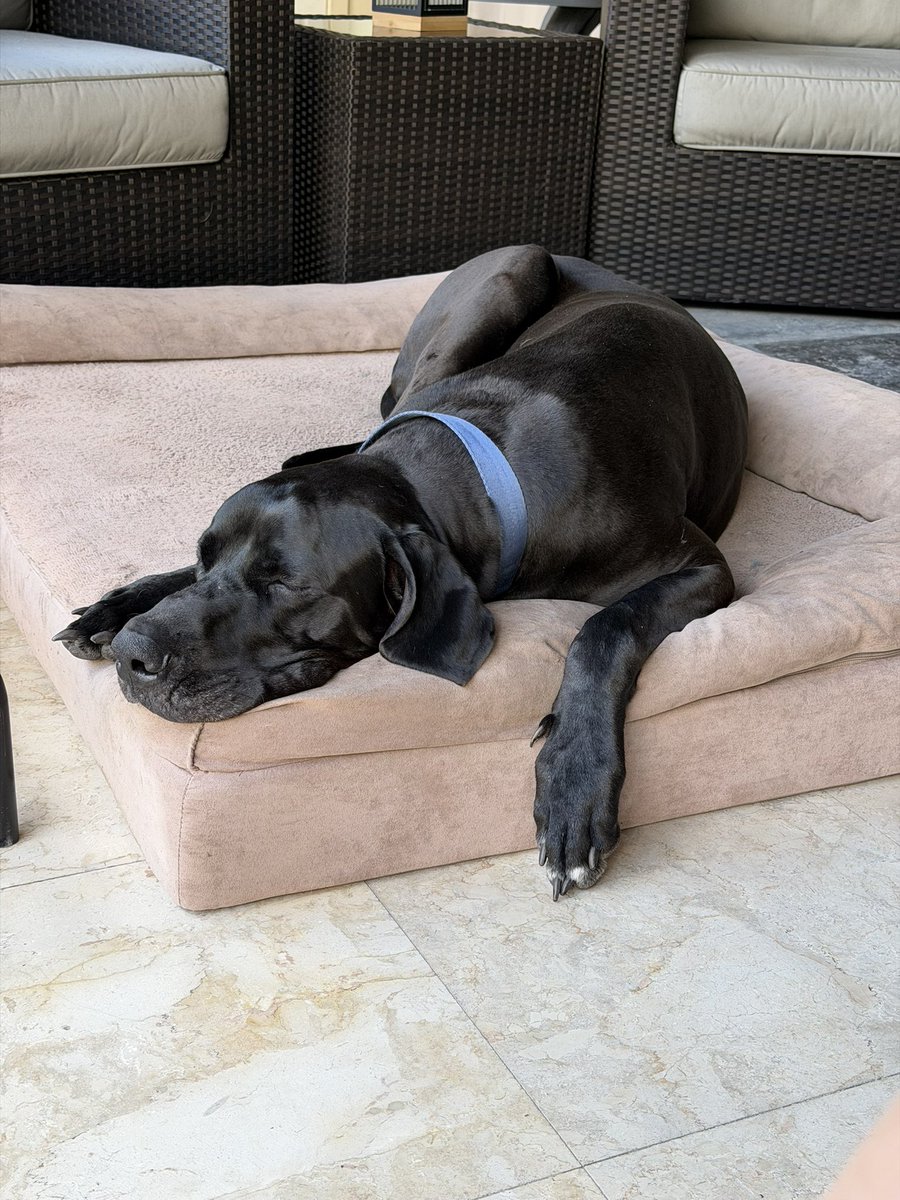 Randy Rush Sr tweet media