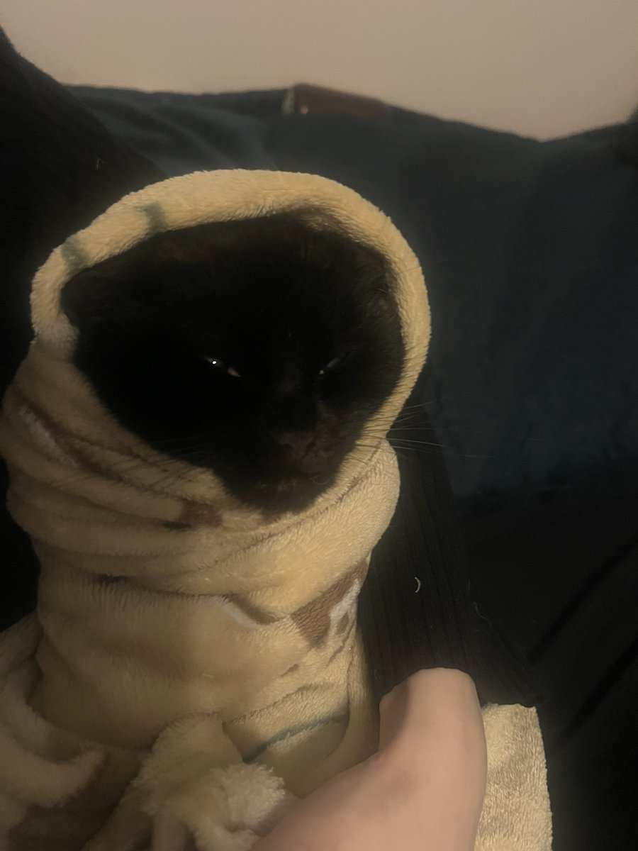 Obcinanie pazurów ale brudas jest niegrzeczny więc siedzi w karnym burrito