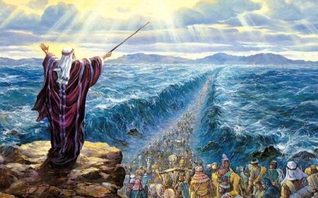 MoNong_MN's tweet image. 